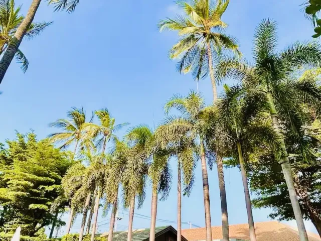 place photo 16