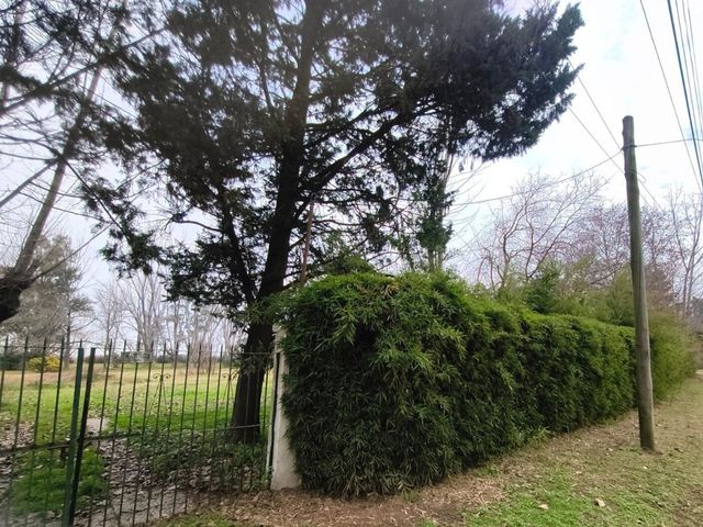 place photo 13