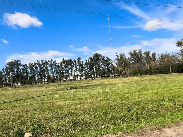 place photo 37