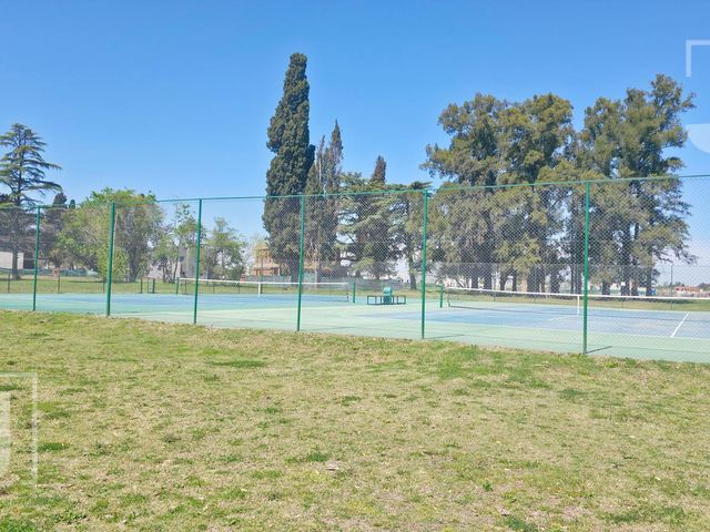place photo 21