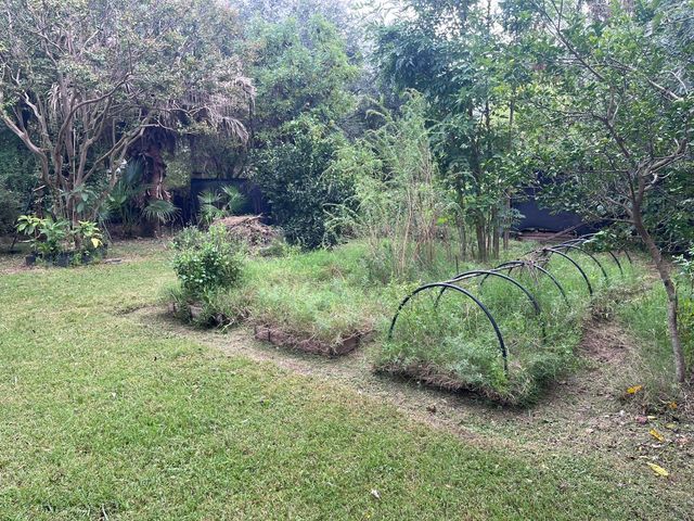 place photo 52