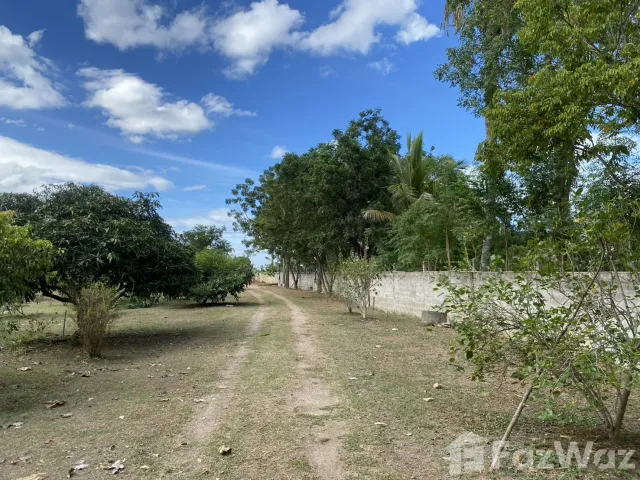 place photo 28