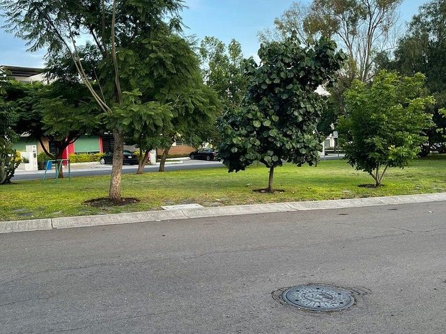 place photo 23