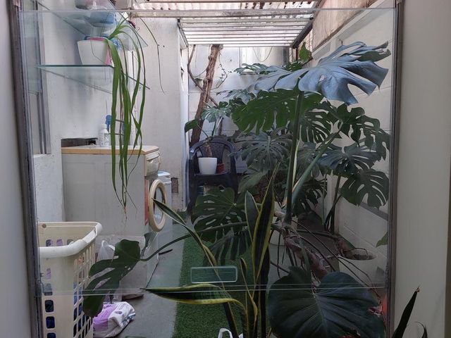 place photo 23