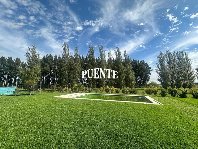 place photo 45