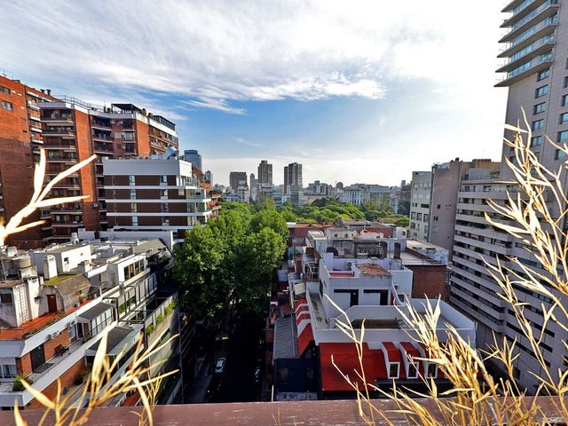 place photo 47