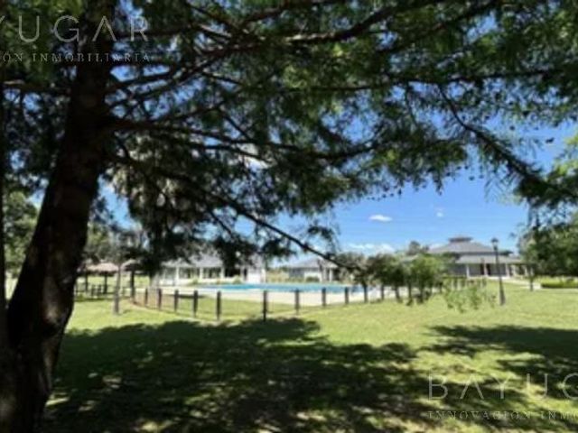 place photo 36