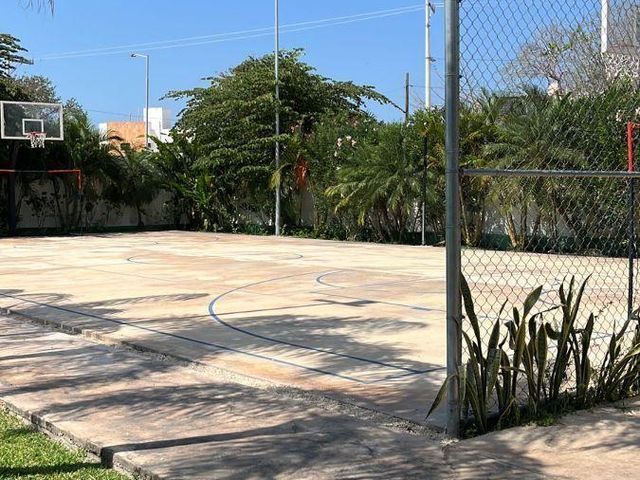place photo 21