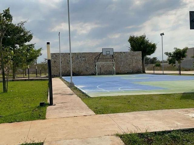 place photo 17