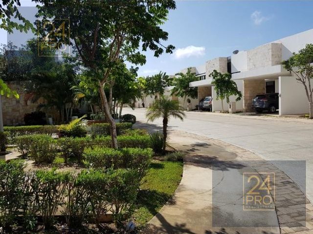 place photo 40