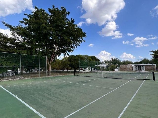 place photo 17