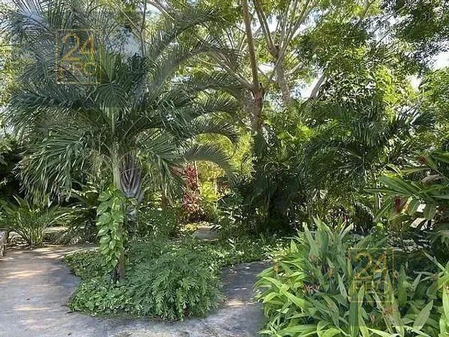 place photo 22