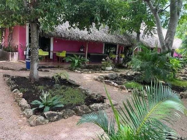 place photo 7