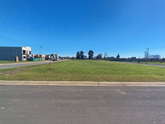 place photo 4