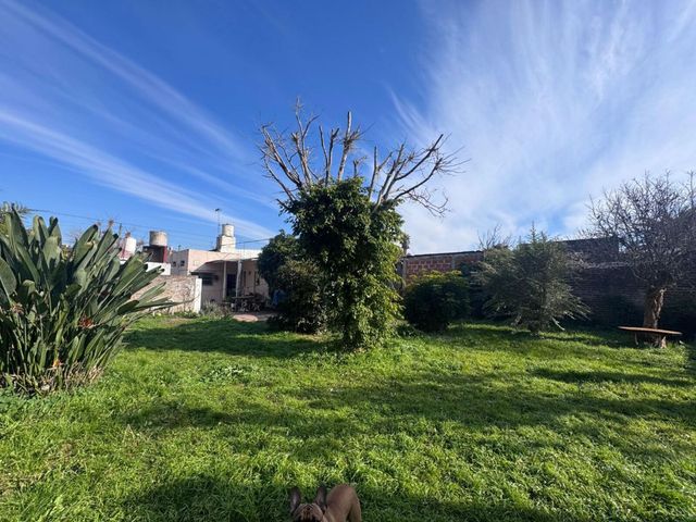 place photo 11