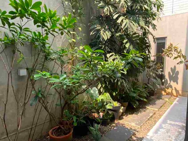 place photo 23