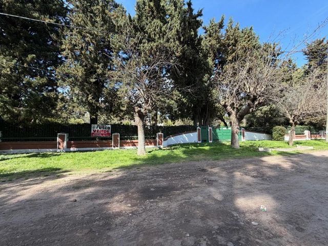 place photo 38