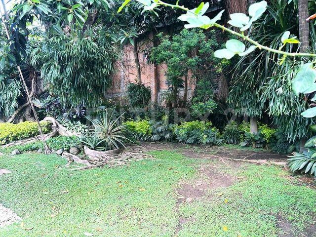 place photo 48