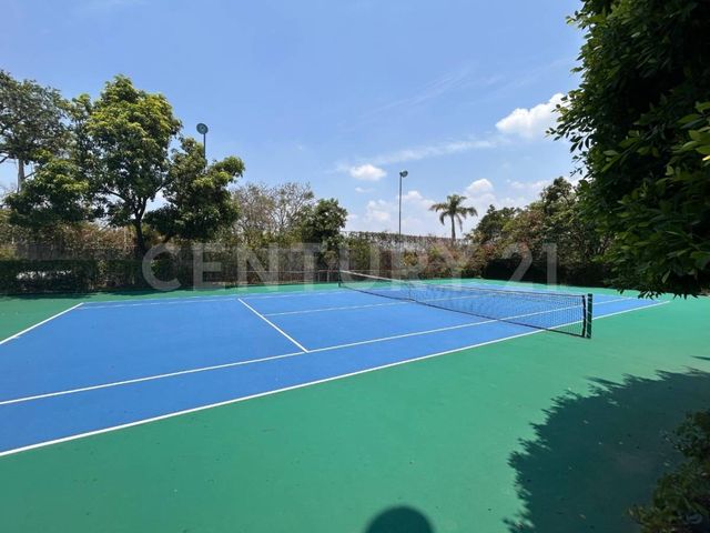 place photo 26