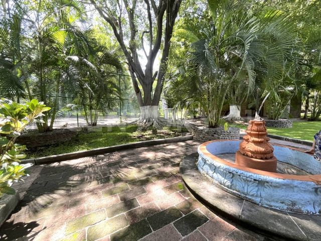 place photo 45