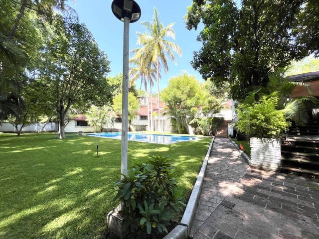 place photo 46