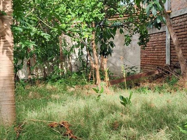 place photo 42