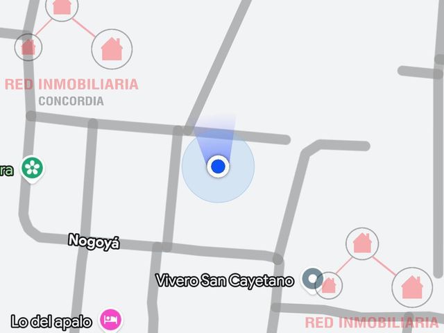 place photo 18