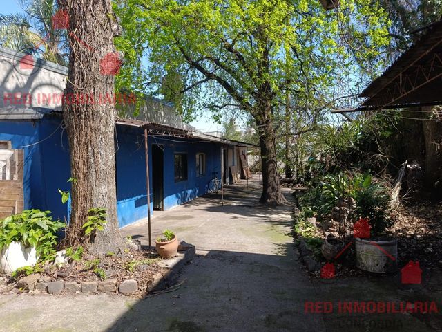 place photo 15