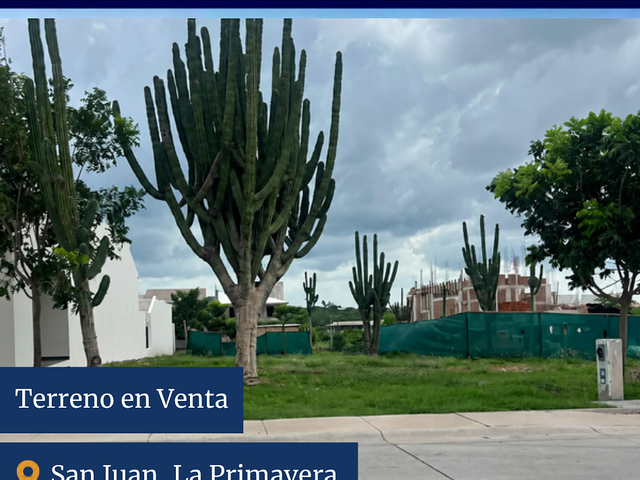 VENTA TERRENO / BARRIO SAN JUAN, LA PRIMAVERA / CULIACÁN