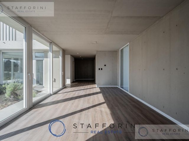 place photo 62