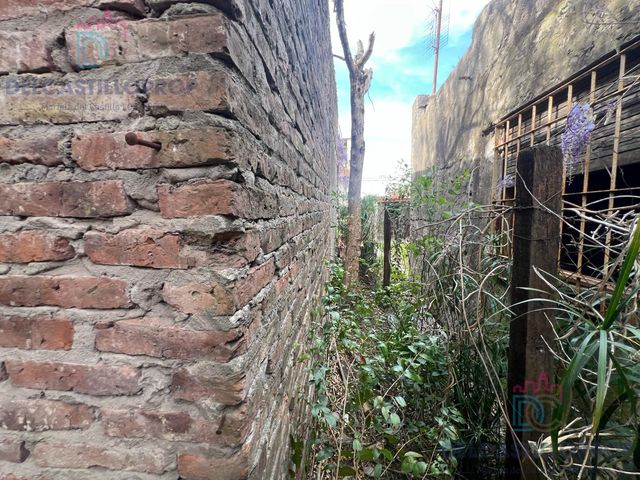 place photo 42