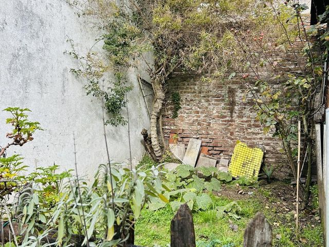 place photo 41