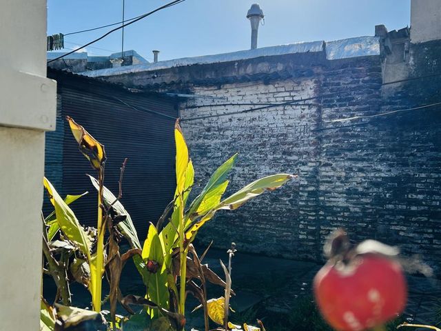 place photo 36