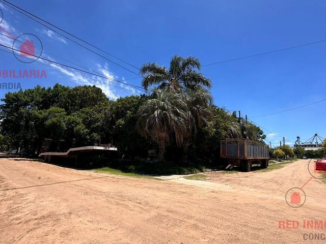 place photo 15