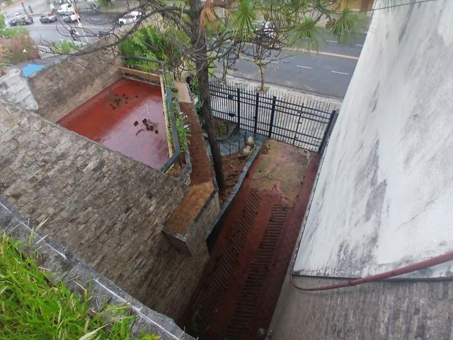 place photo 55