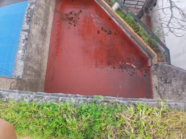 place photo 51