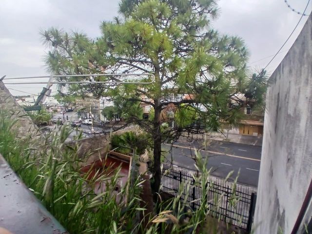 place photo 56