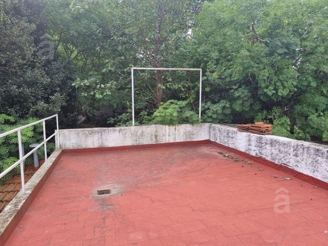 place photo 36