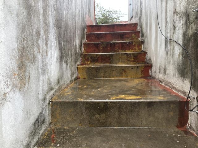 place photo 44