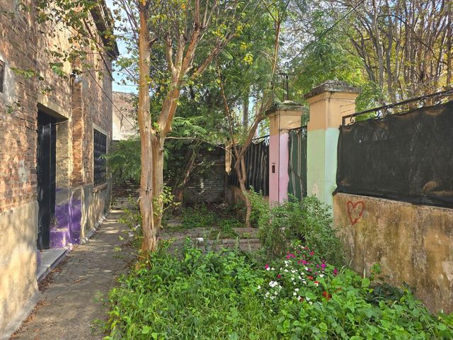 place photo 23