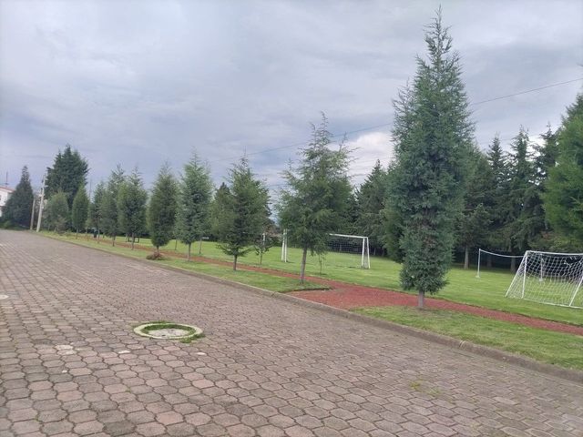 place photo 46