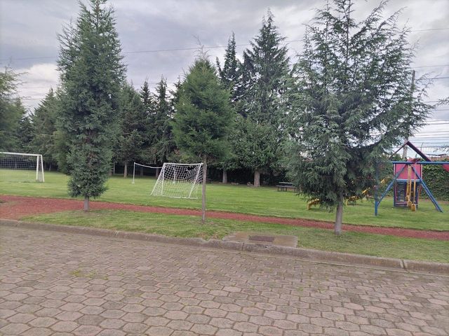 place photo 45
