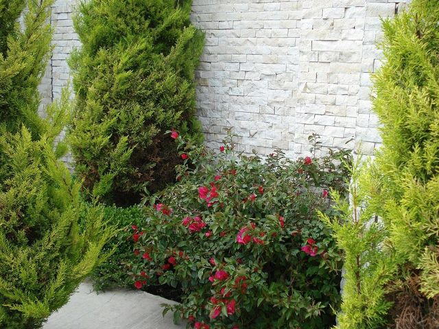 place photo 41