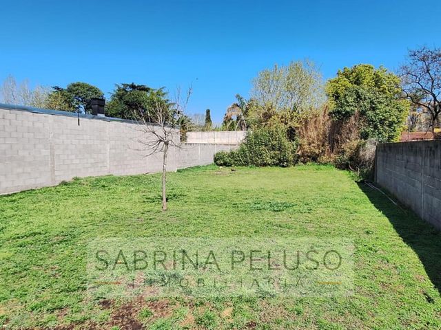 place photo 19