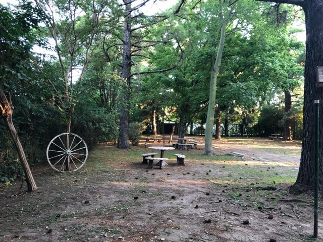place photo 32