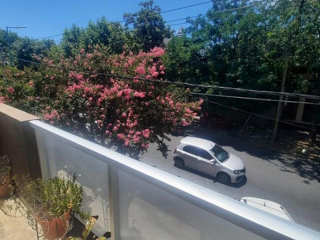 place photo 43