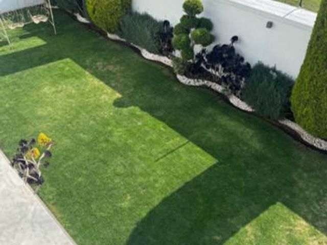 place photo 38