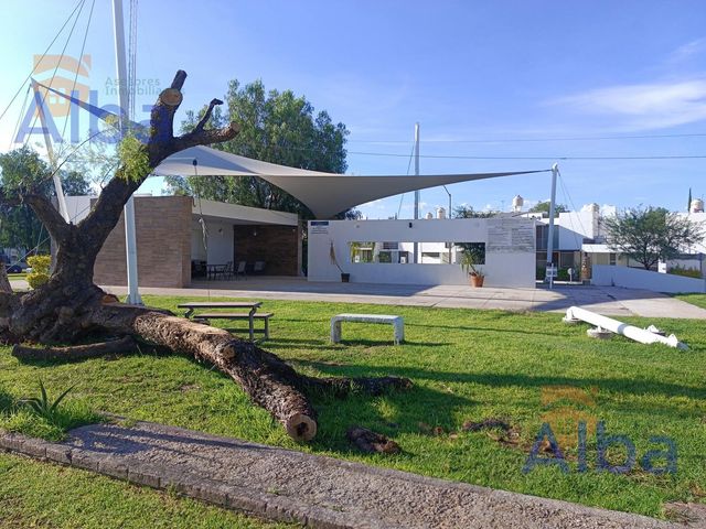 place photo 25