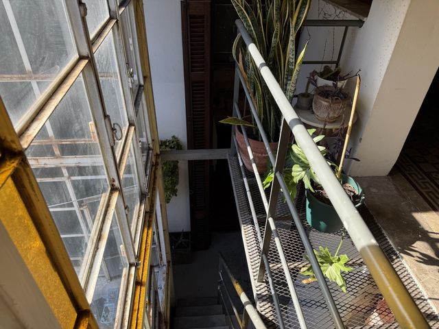 place photo 44