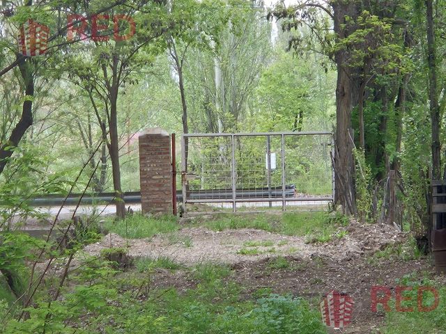 place photo 21